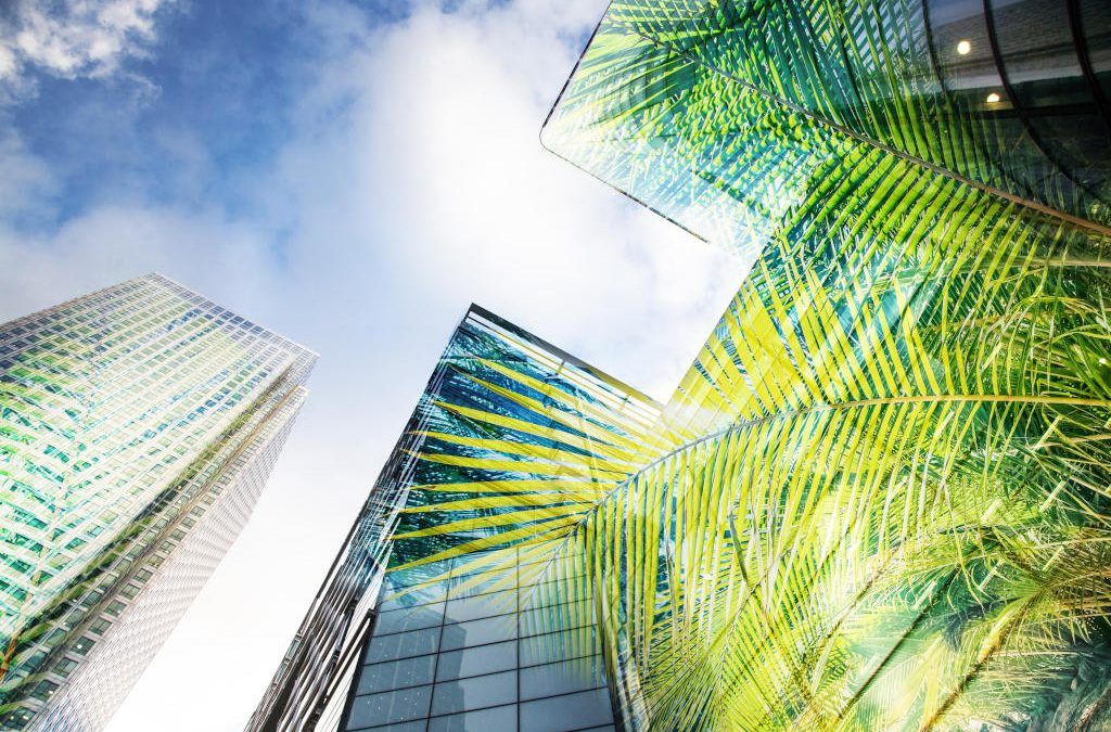 Ejemplos de proyectos sostenibles de arquitectura en todo el mundo