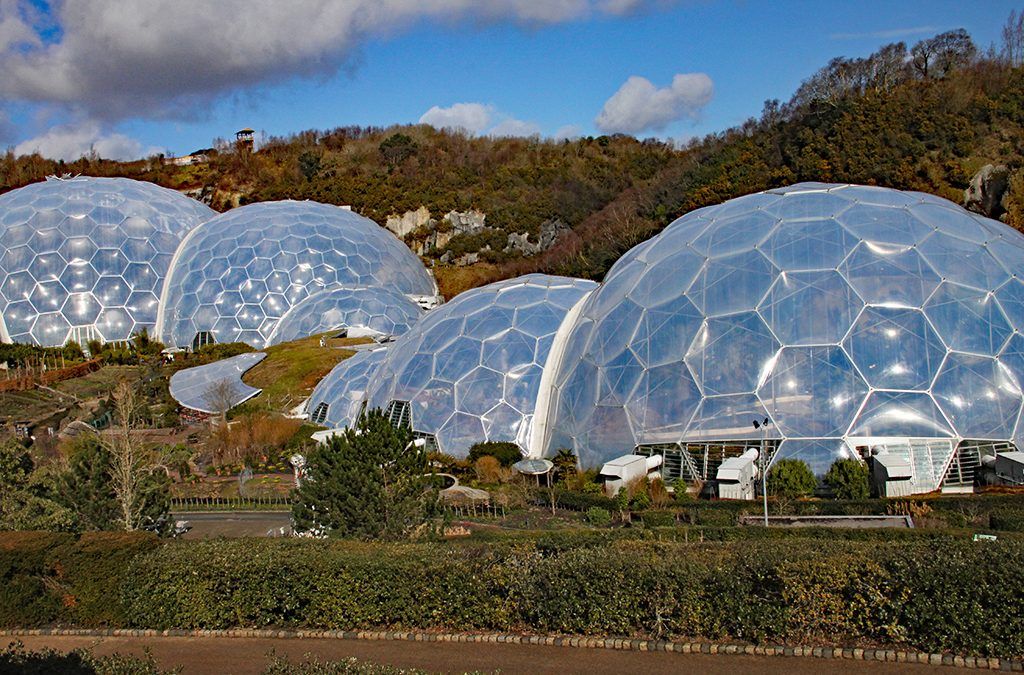 De la Naturaleza al Urbanismo: Diseño Biomimético en la Arquitectura del Futuro