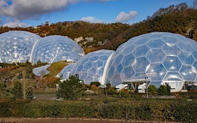 De la Naturaleza al Urbanismo: Diseño Biomimético en la Arquitectura del Futuro