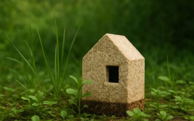 El futuro de las construcciones: materiales vivos que transformarán nuestra forma de habitar