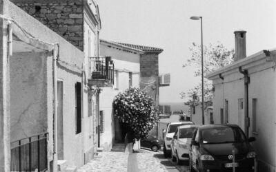 Arquitectura y salud mental: cómo los espacios afectan tu bienestar